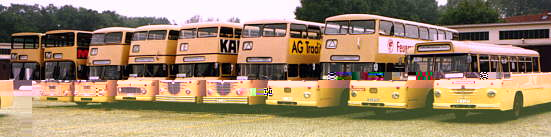 Berlin buses known as Die grossen Gelben