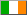 The Irish flag